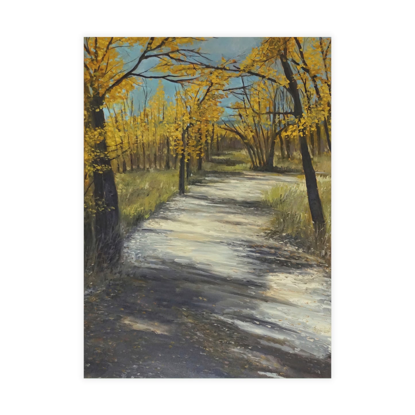 FINE ART POSTCARDS - COTTONWOODS OF COLORADO