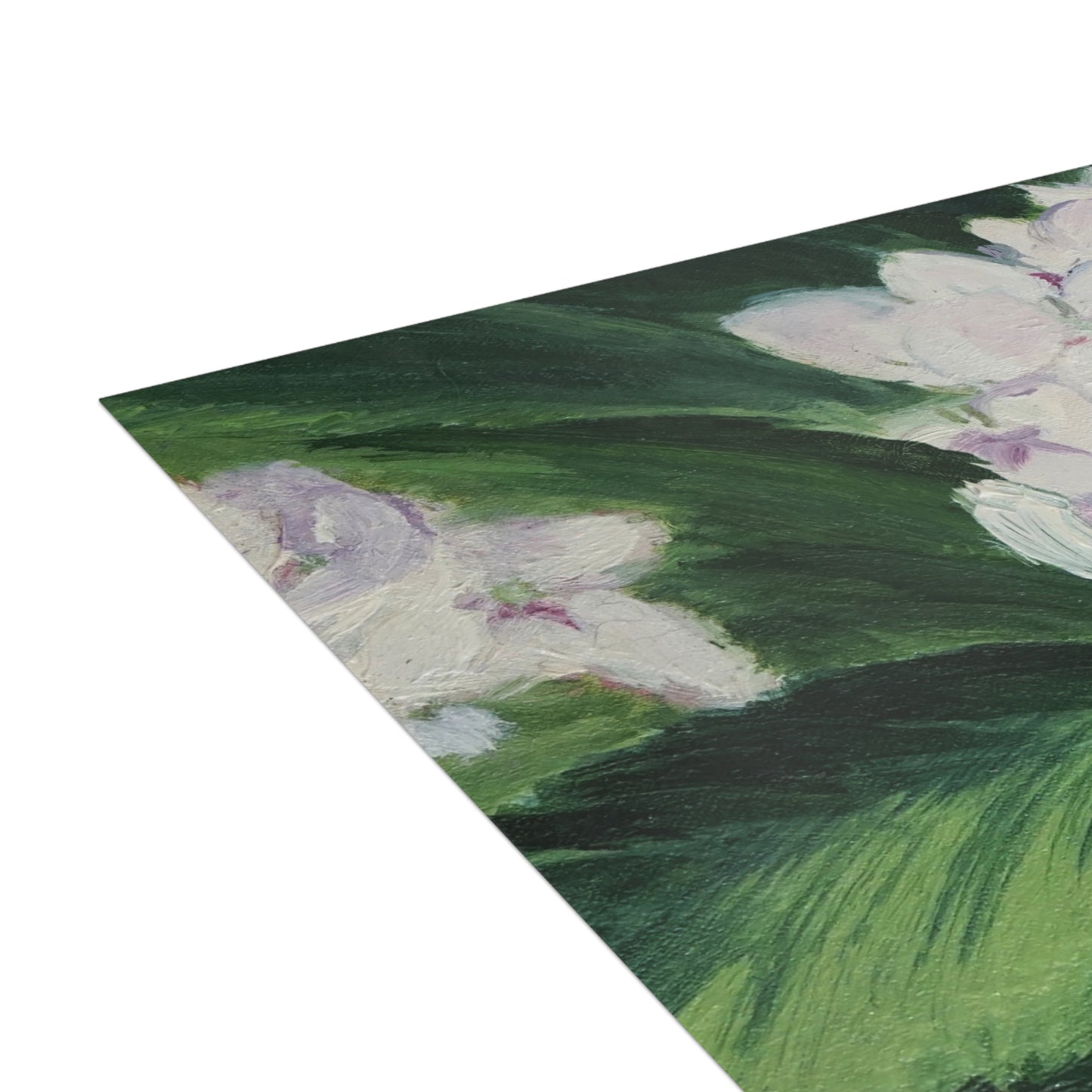 FINE ART POSTCARDS - MAGNOLIAS