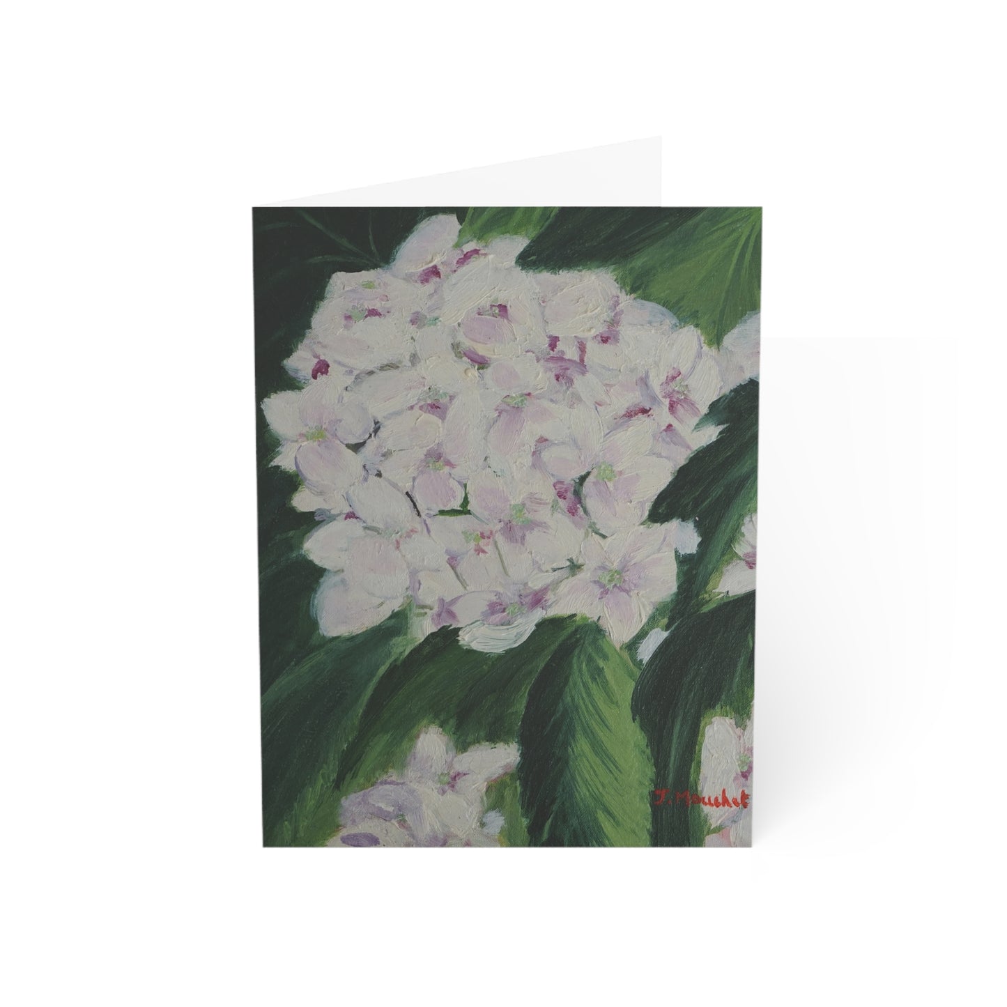 GREETING CARDS (1, 10, 30, and 50pcs) - MAGNOLIAS