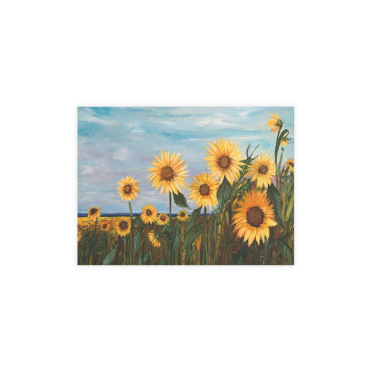 FINE ART POSTCARDS - REFLECTION