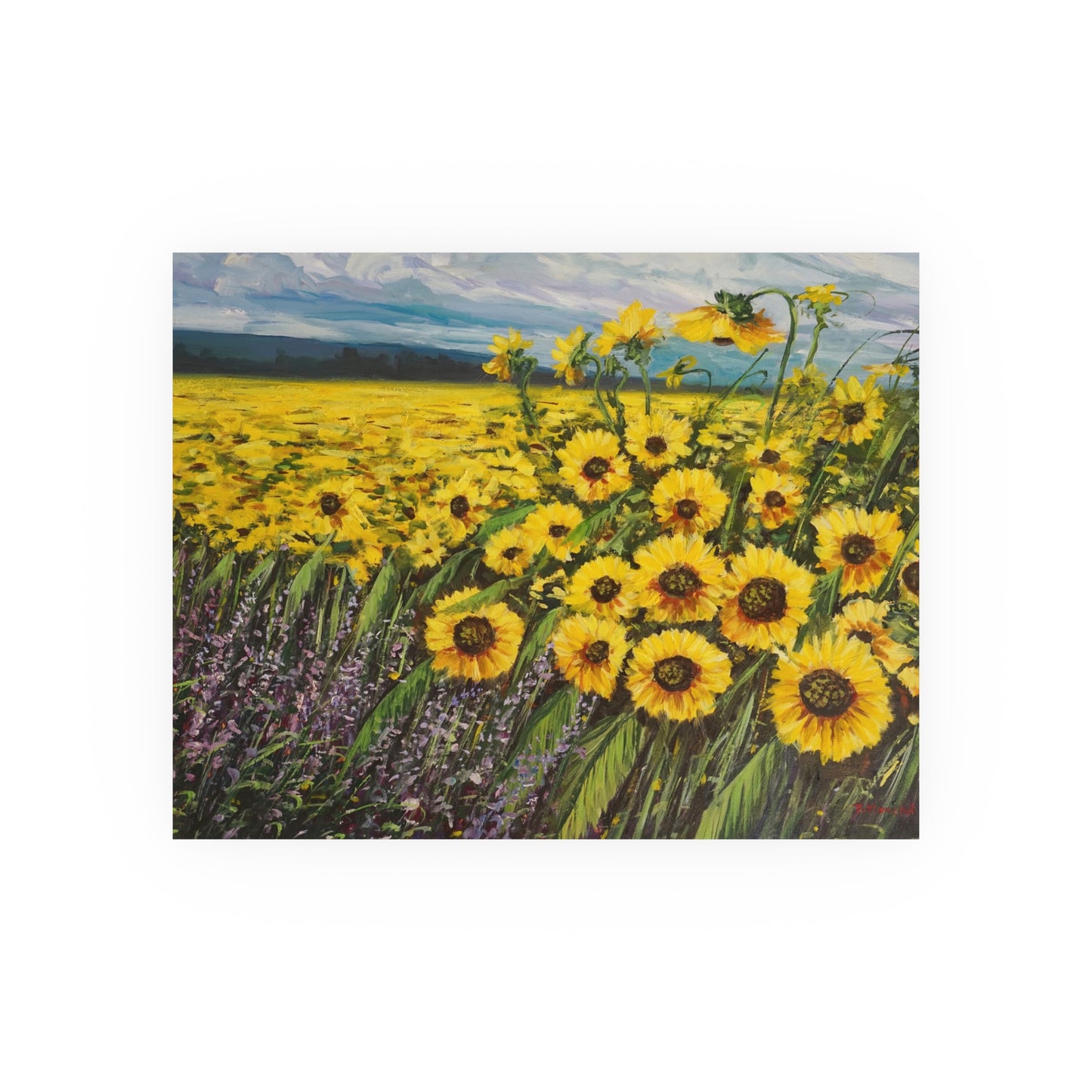 Satin and Archival Matte Posters