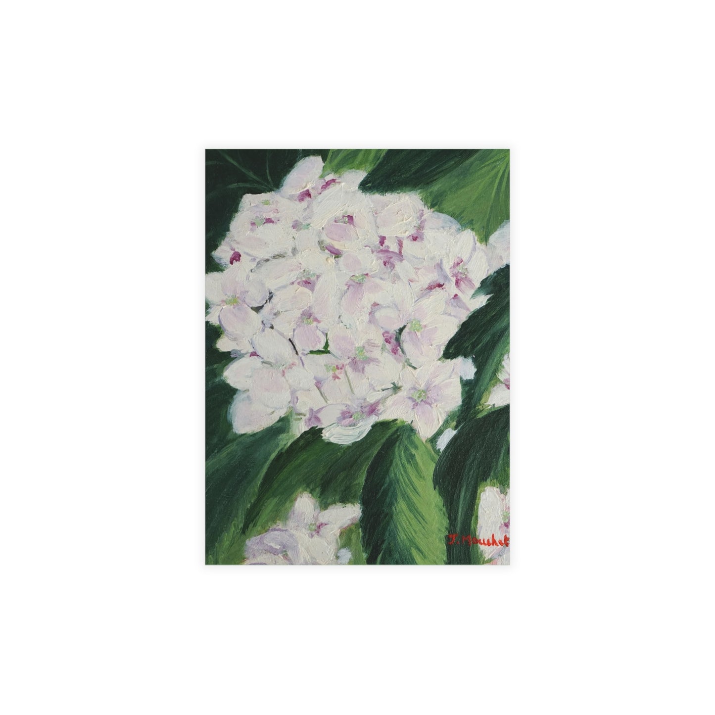FINE ART POSTCARDS - MAGNOLIAS