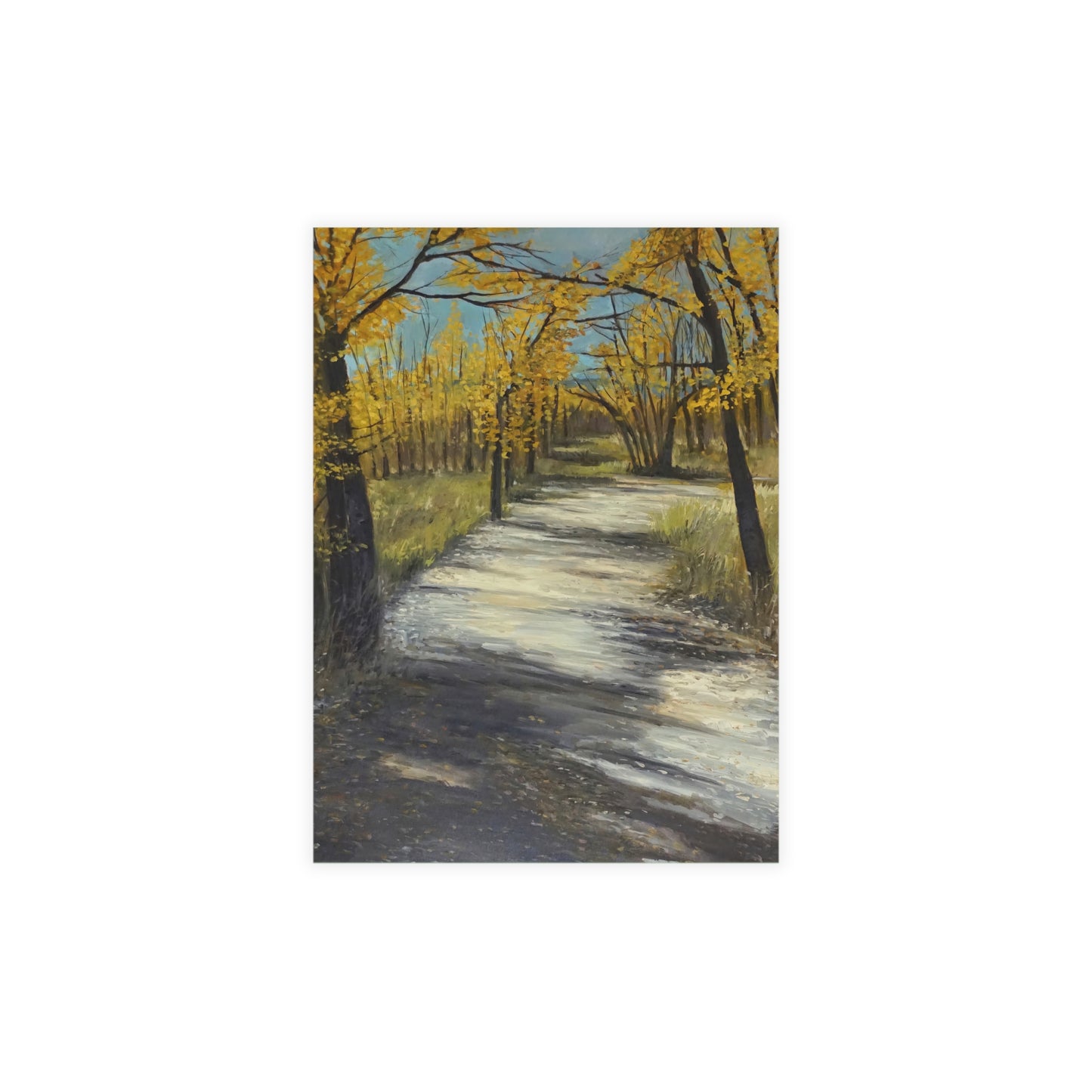 FINE ART POSTCARDS - COTTONWOODS OF COLORADO