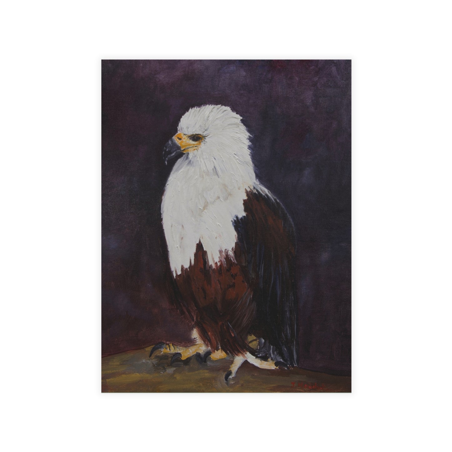 FINE ART POSTCARDS - POWER