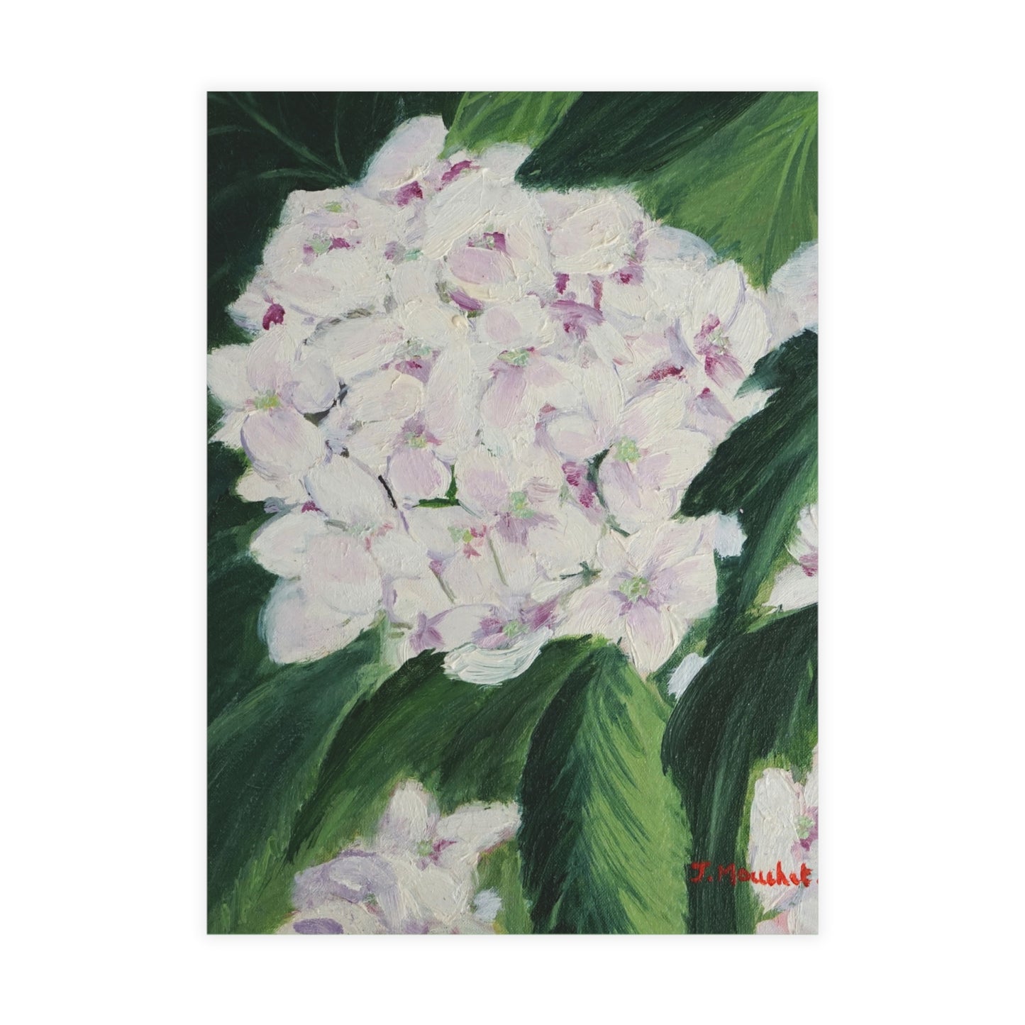 FINE ART POSTCARDS - MAGNOLIAS
