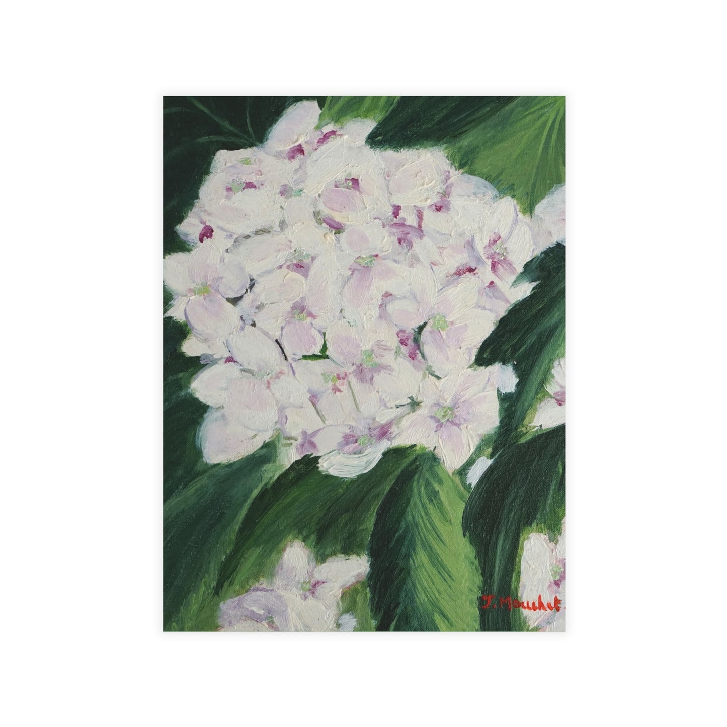 FINE ART POSTCARDS - MAGNOLIAS