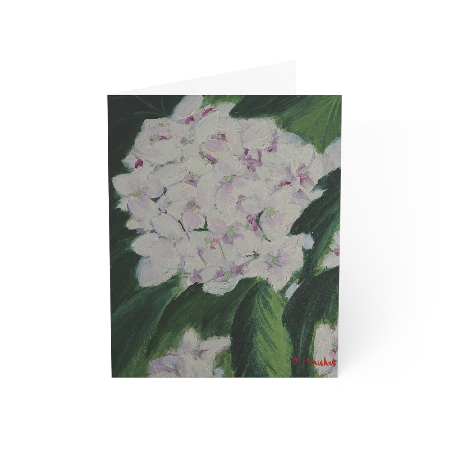 GREETING CARDS (1, 10, 30, and 50pcs) - MAGNOLIAS