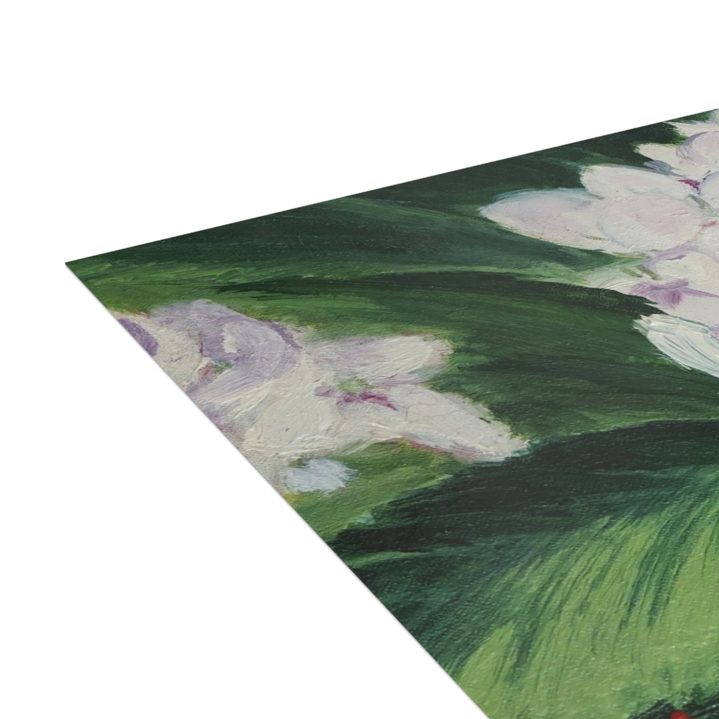 FINE ART POSTCARDS - MAGNOLIAS