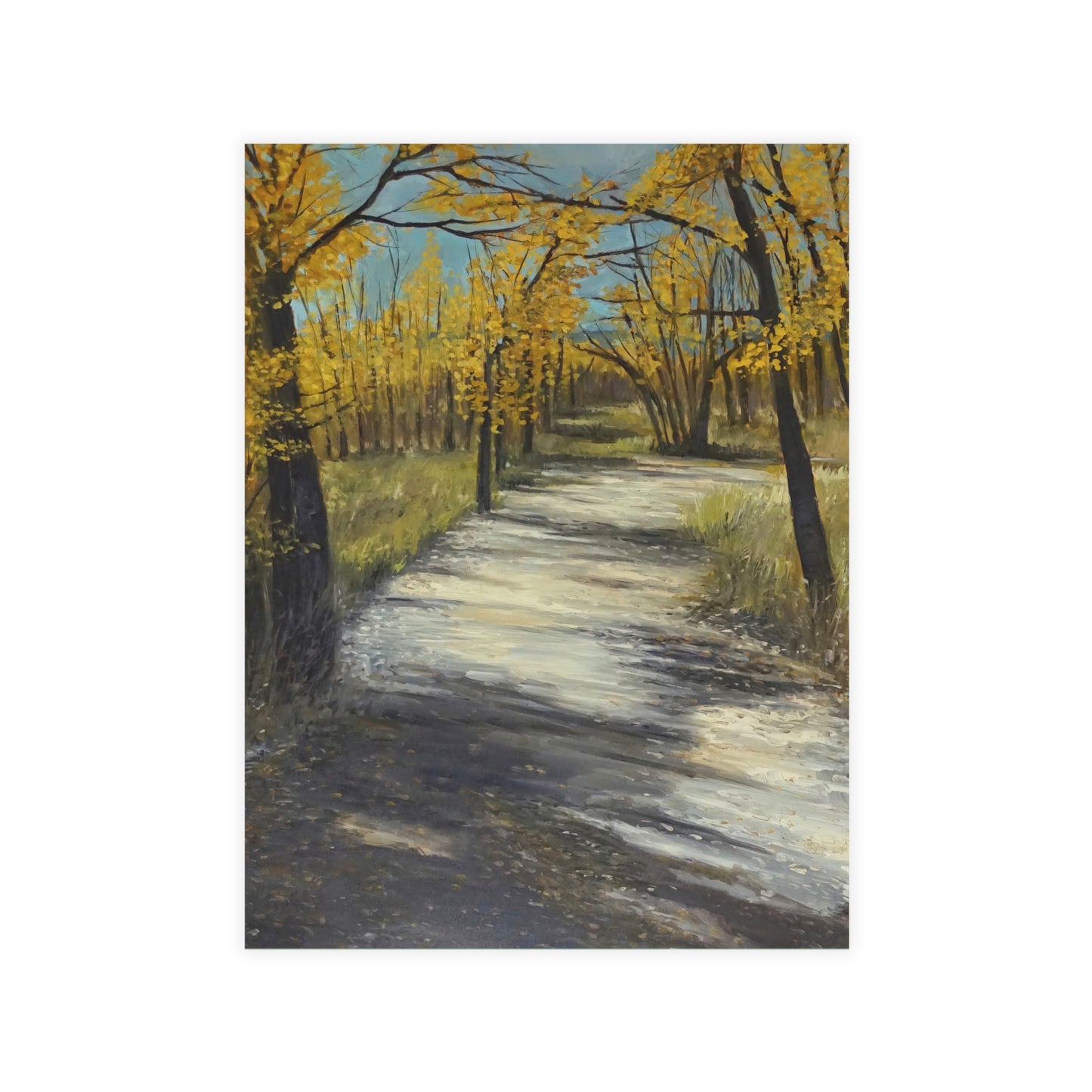FINE ART POSTCARDS - COTTONWOODS OF COLORADO