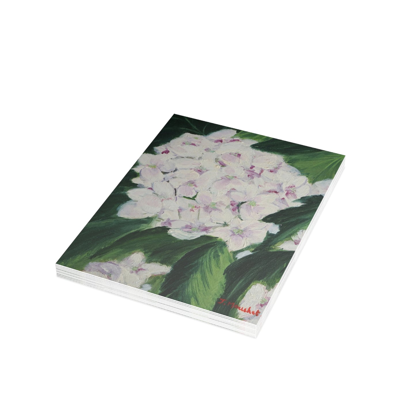 FINE ART POSTCARDS - MAGNOLIAS