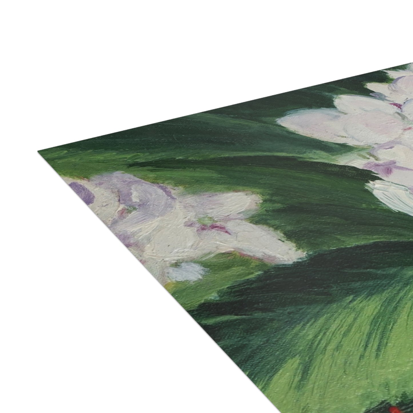 FINE ART POSTCARDS - MAGNOLIAS