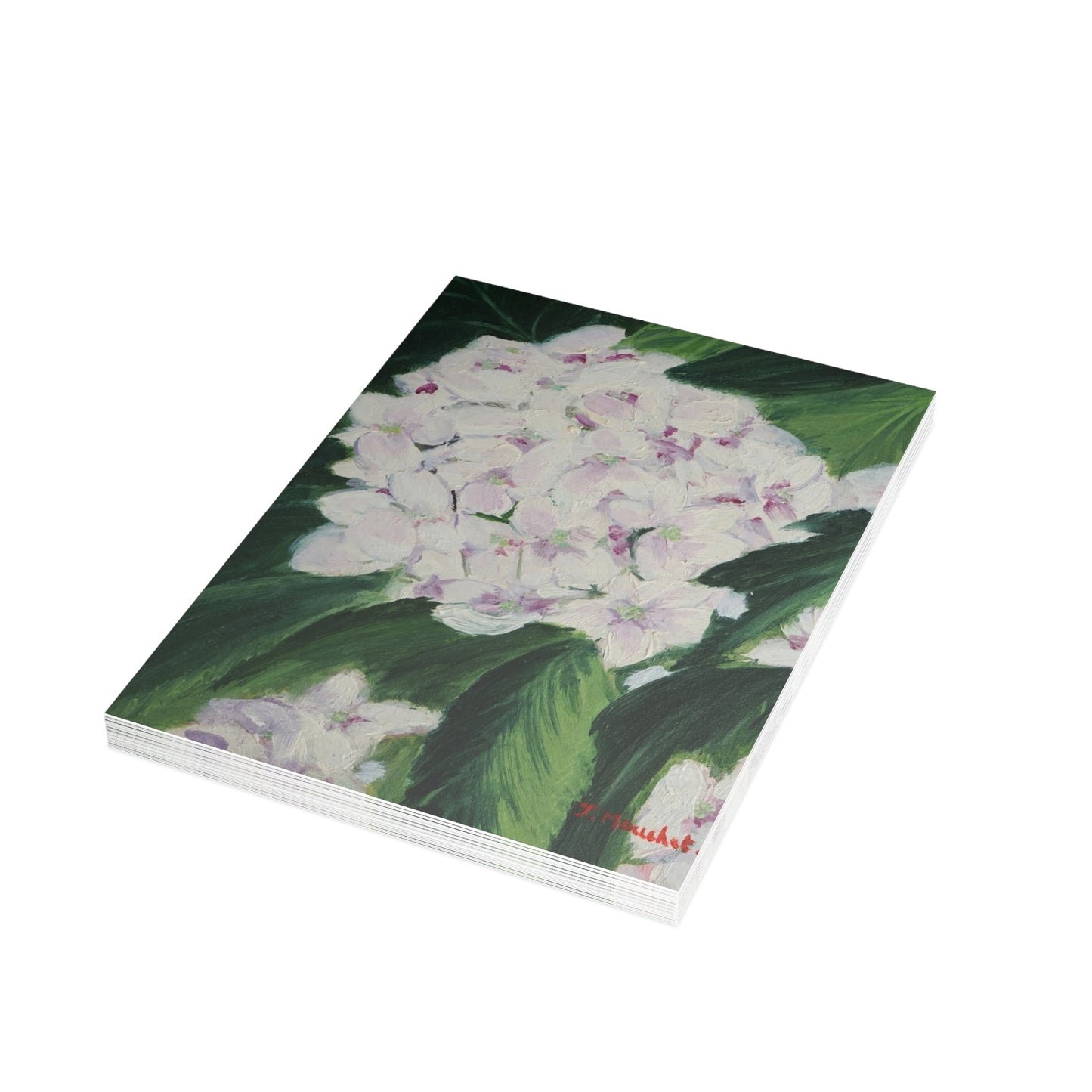 FINE ART POSTCARDS - MAGNOLIAS
