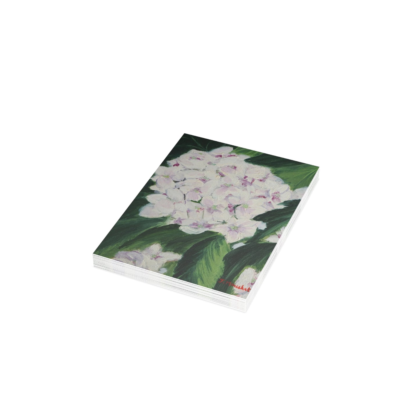 FINE ART POSTCARDS - MAGNOLIAS