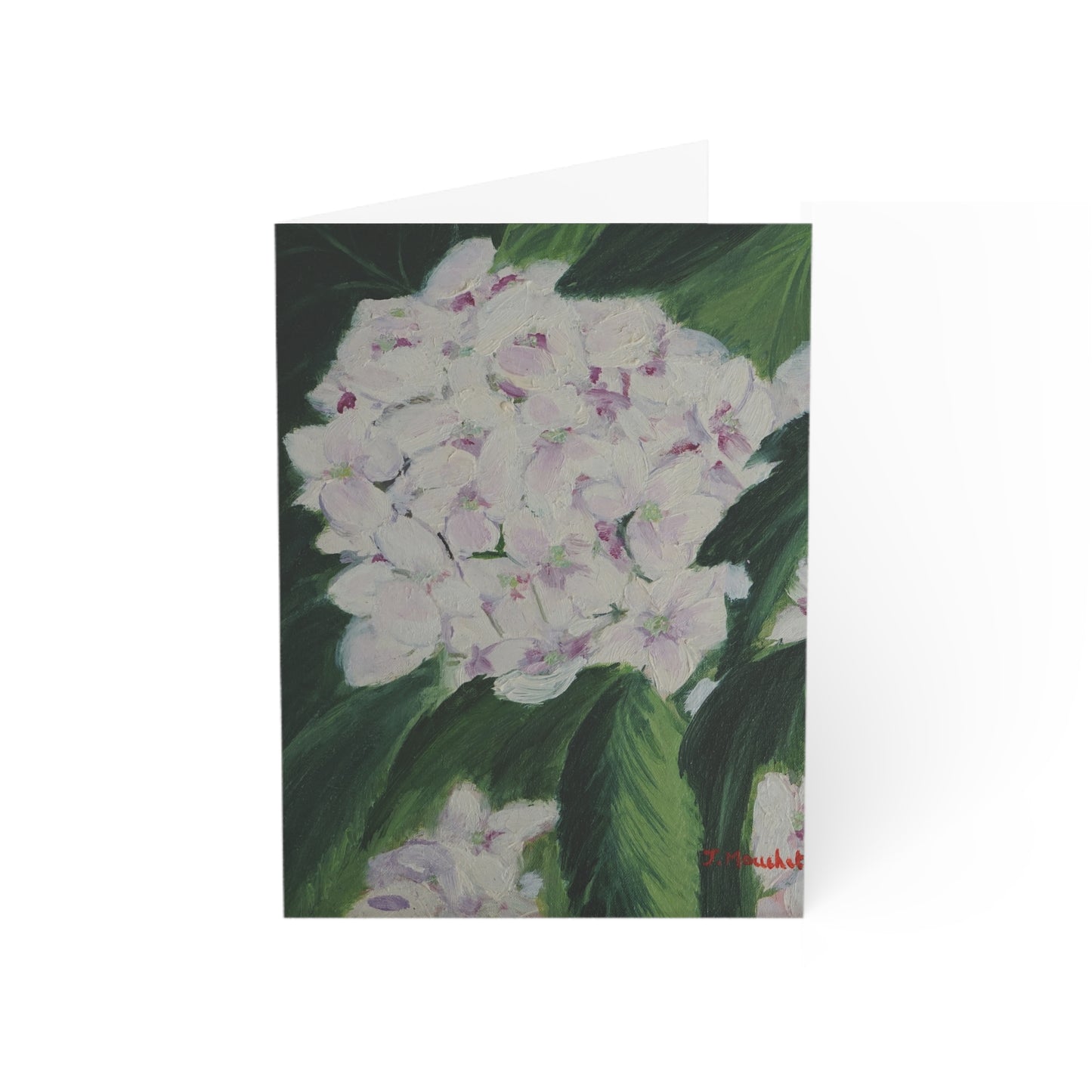 GREETING CARDS (1, 10, 30, and 50pcs) - MAGNOLIAS