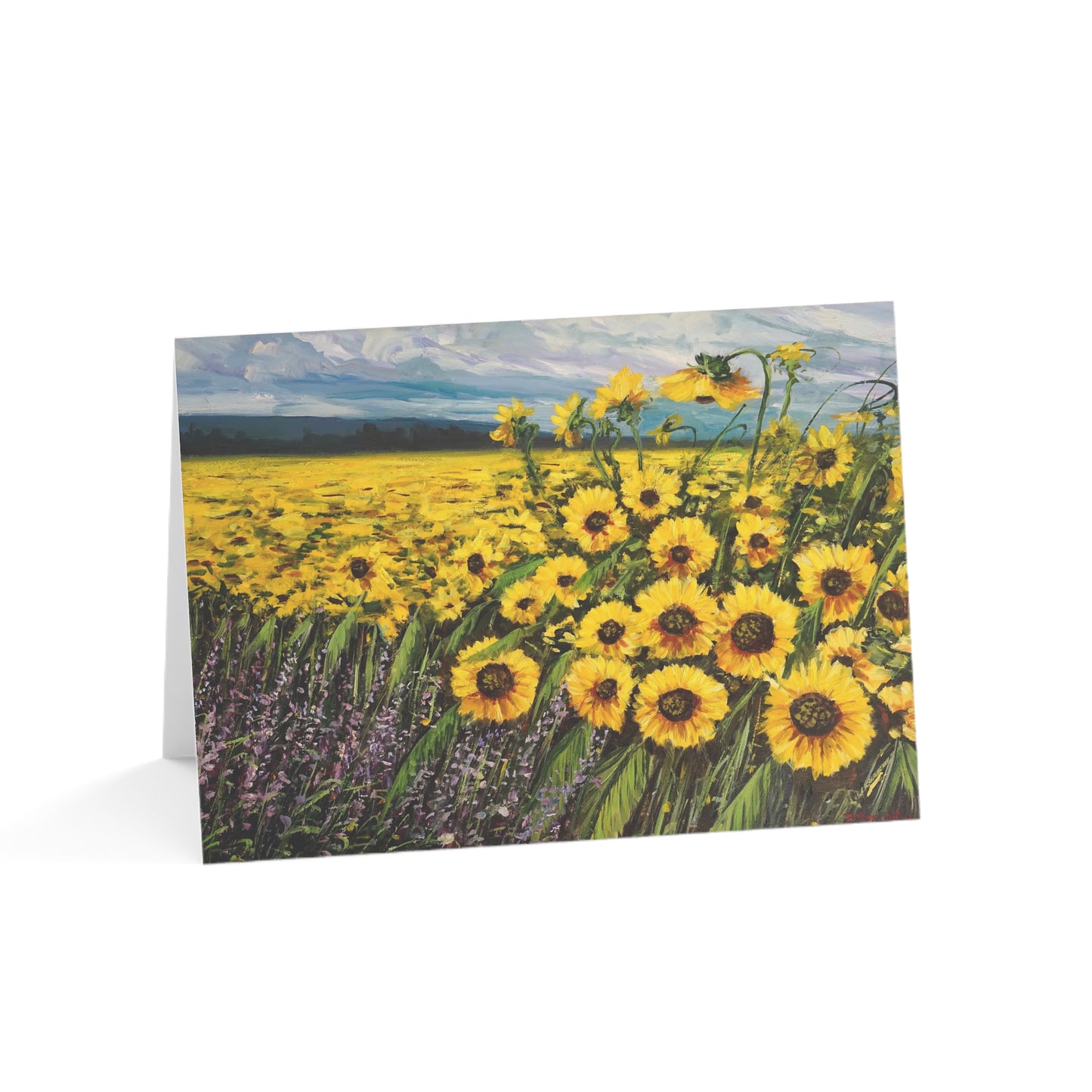 GREETING CARD (1, 10, 30, and 50pcs) - SUNFLOWERS