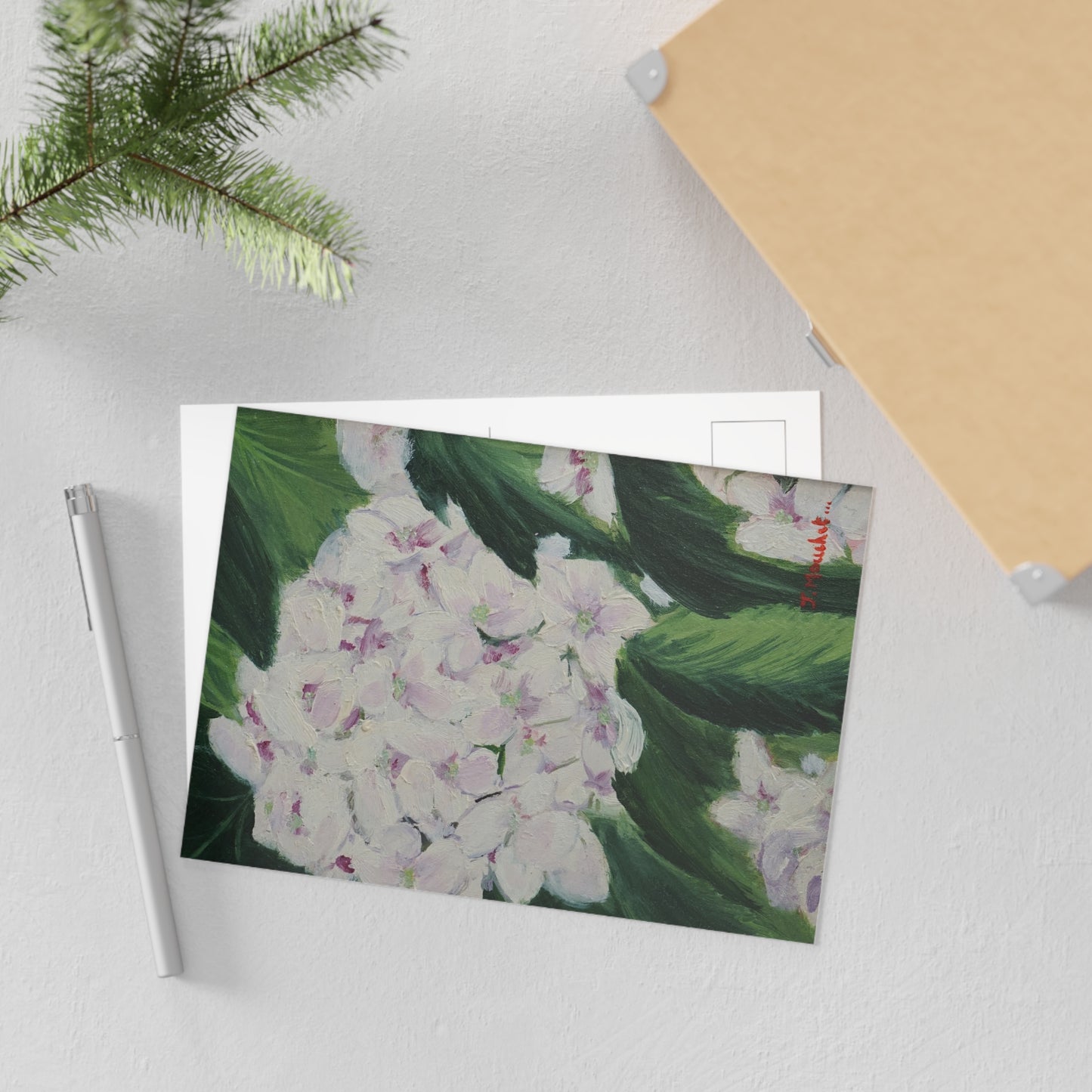 FINE ART POSTCARDS - MAGNOLIAS