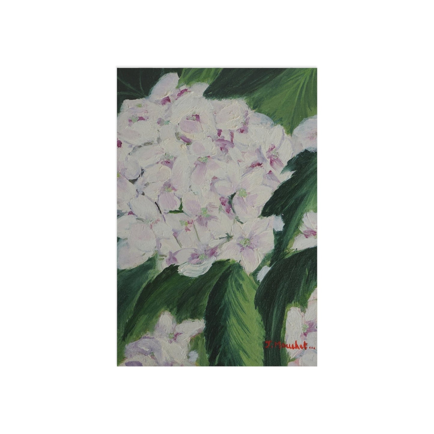 FINE ART POSTCARDS - MAGNOLIAS