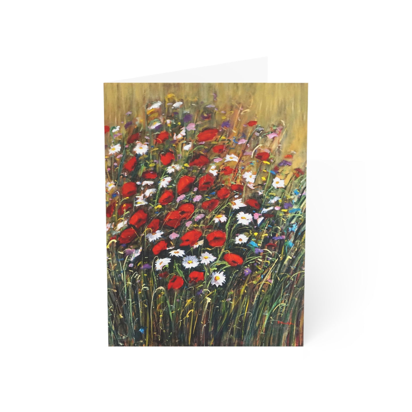 GREETING CARDS (1, 10, 30, and 50pcs) - WILD POPPIES AND DAISIES