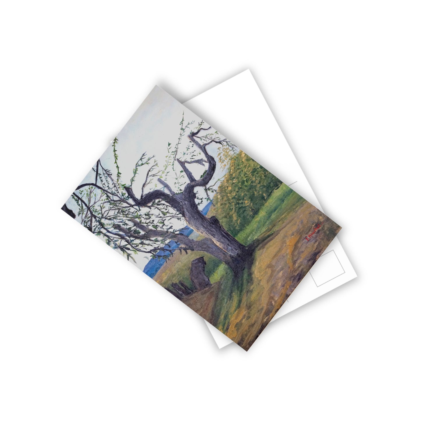 POSTCARDS (10pcs) - AUTUMN