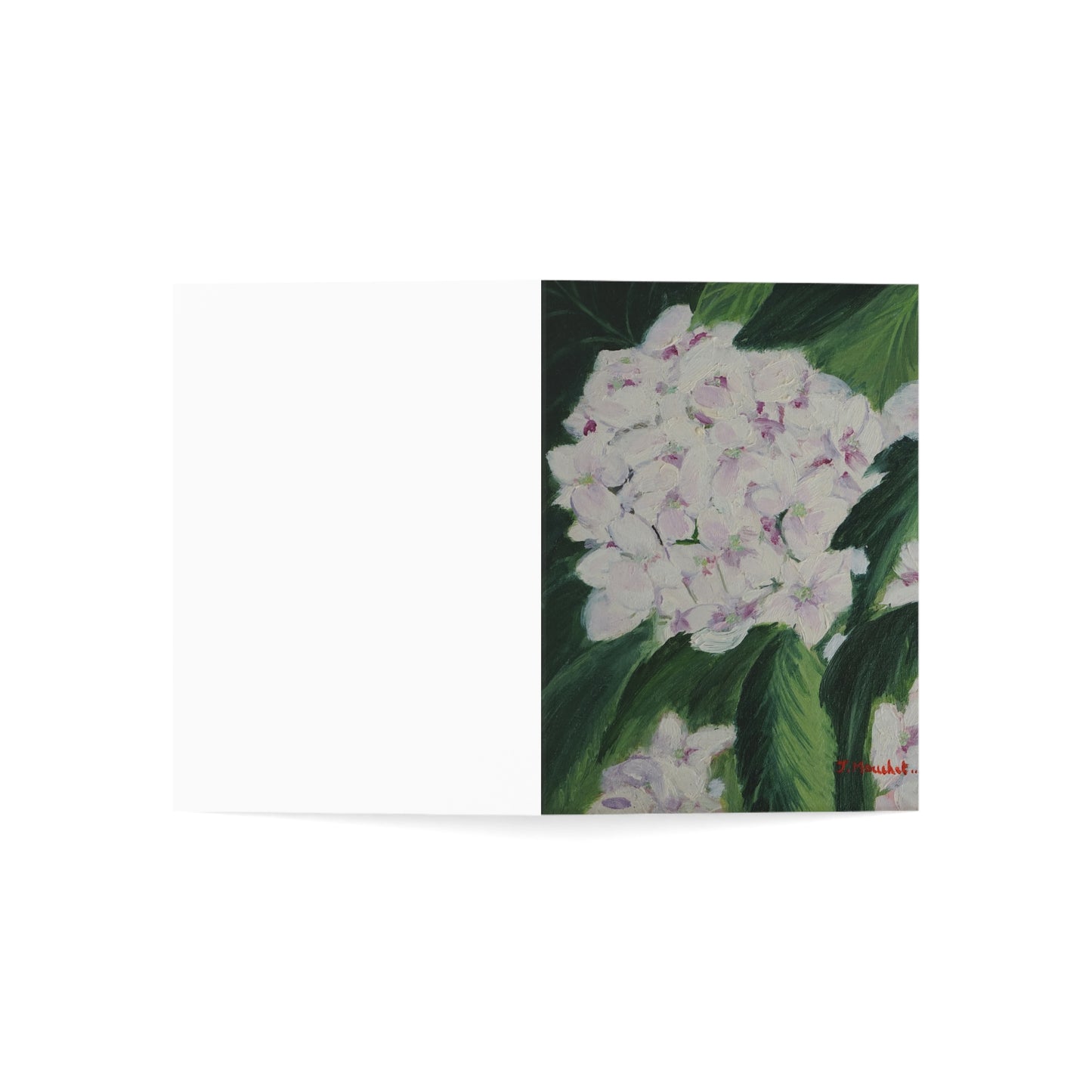 GREETING CARDS (1, 10, 30, and 50pcs) - MAGNOLIAS