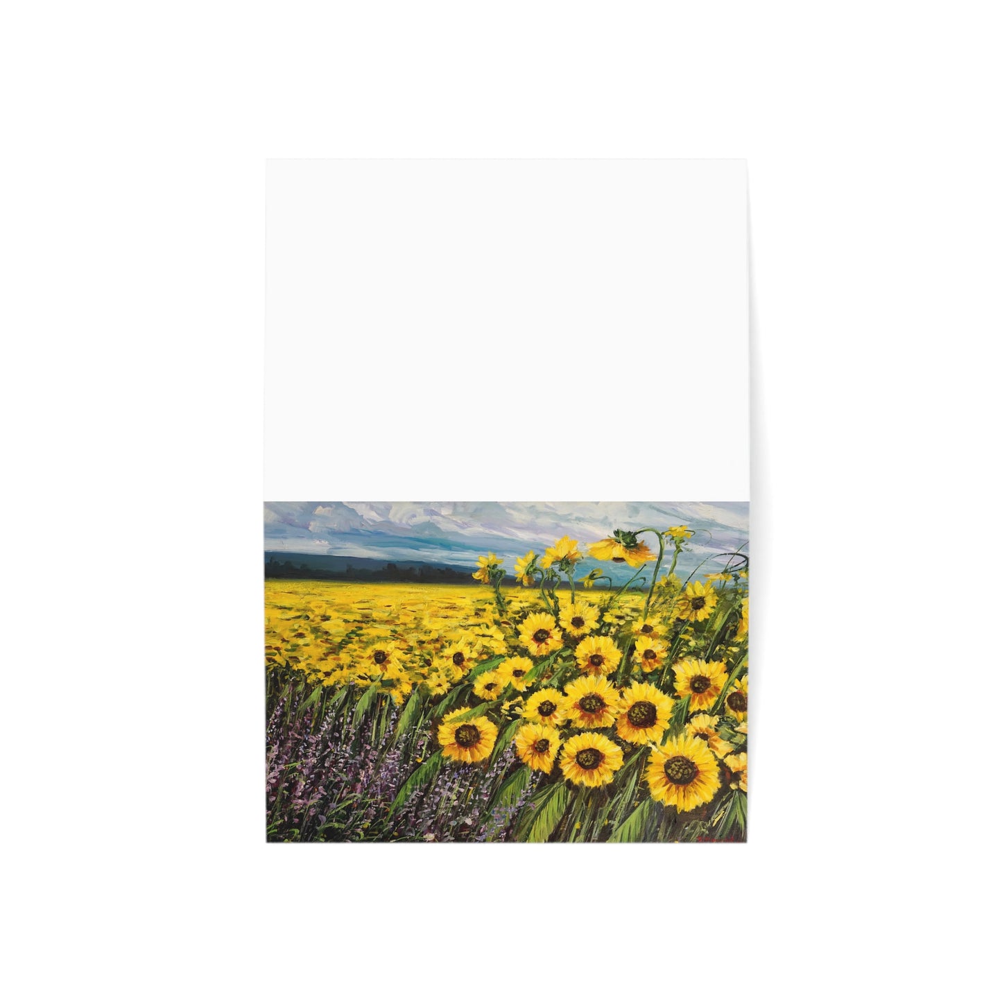 GREETING CARD (1, 10, 30, and 50pcs) - SUNFLOWERS