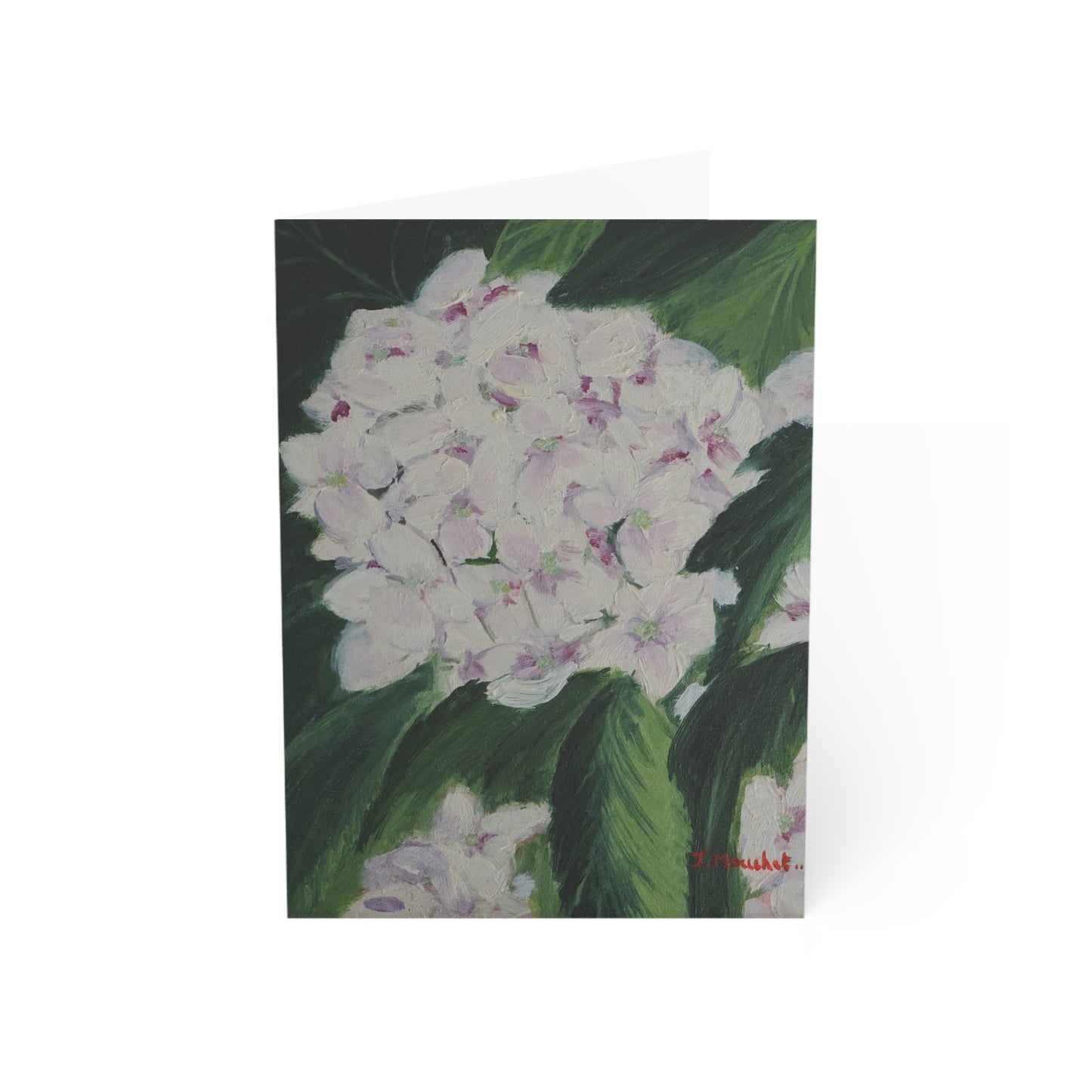 GREETING CARDS (1, 10, 30, and 50pcs) - MAGNOLIAS