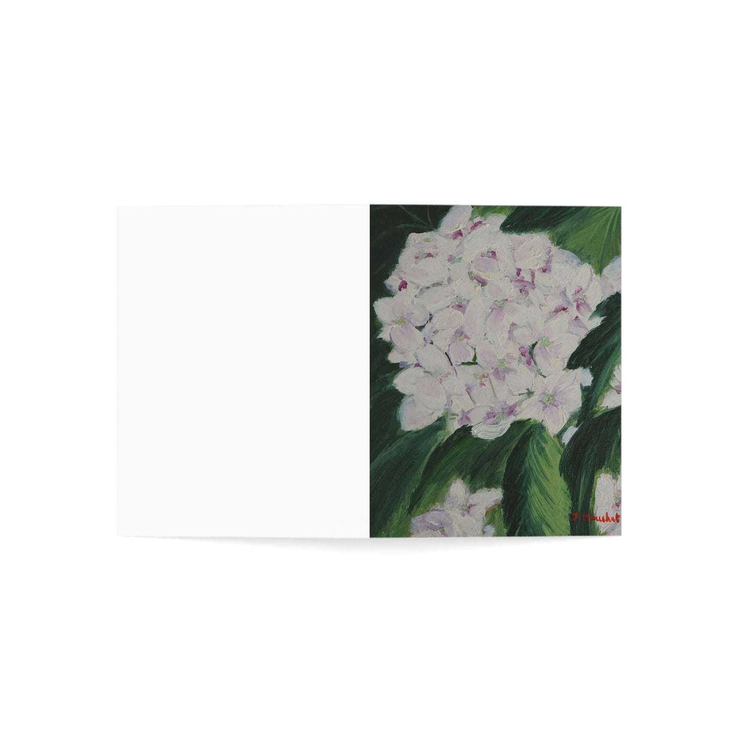 GREETING CARDS (1, 10, 30, and 50pcs) - MAGNOLIAS