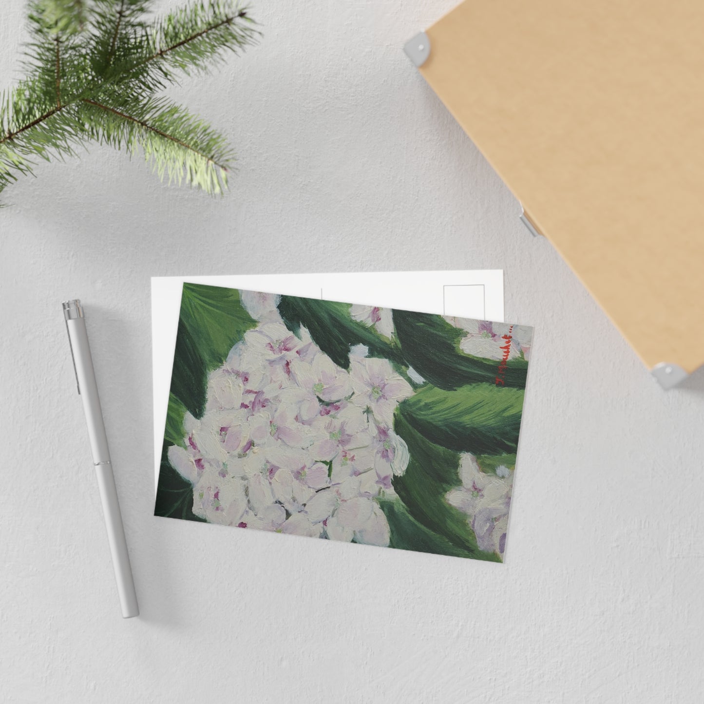 FINE ART POSTCARDS - MAGNOLIAS