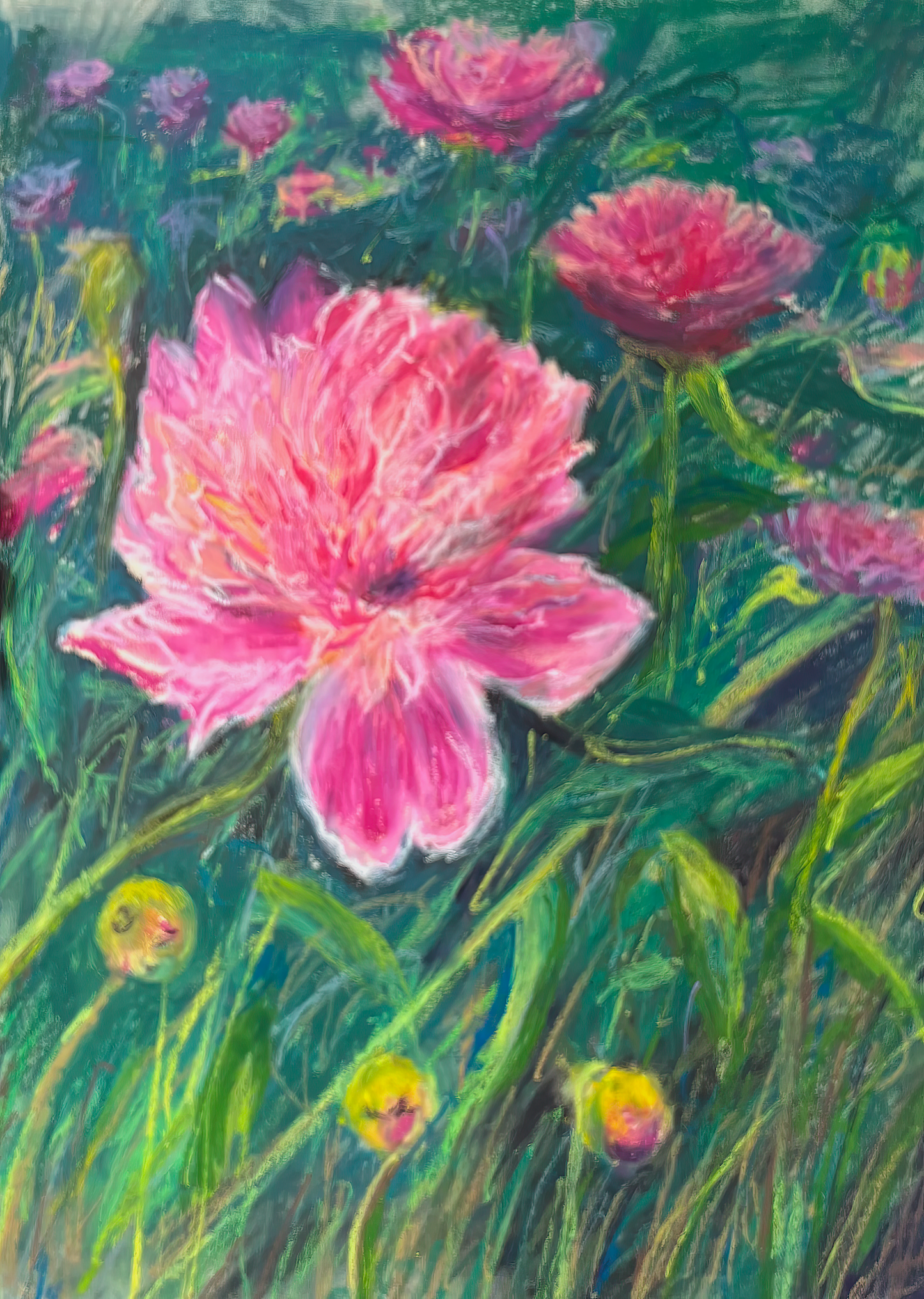 PINK BLOSSOMS: DELICATE PETALS | J Mouchet Fine Art