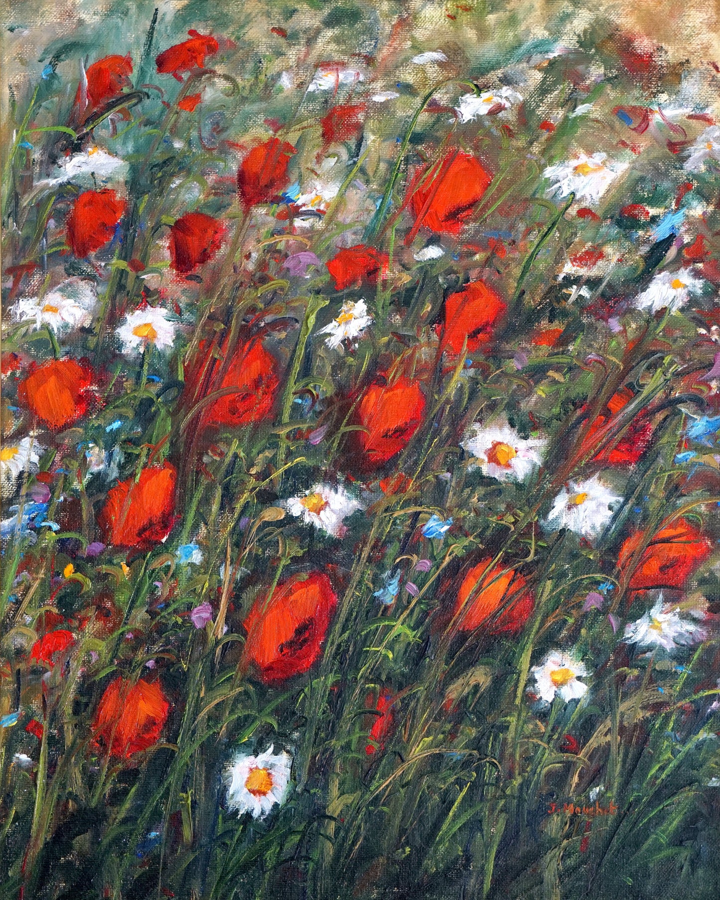 POPPIES AND DAISIES - J Mouchet Fine Art