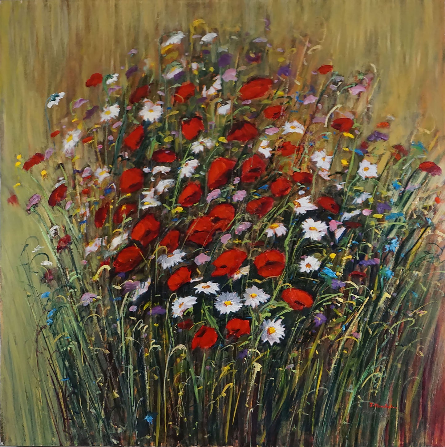 WILD POPPIES AND DAISIES - J Mouchet Fine Art